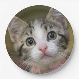 Ein niedliches Kätzchen mit grünen Augen Pappteller