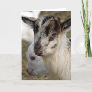 Ein Niedliches kleines Billy-Kind Karte