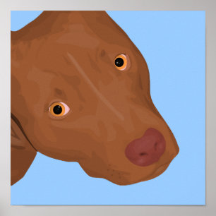 Ein Niedliches Pit Bull-Portrait Poster