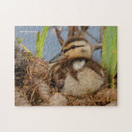 Ein Niedliches und kostbares Mallard Duckling Puzzle