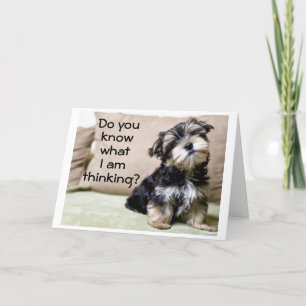 "EIN NUR WEIHNACHTEN FÜR SIE" WICHTIGSTE SACHE!