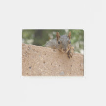 Ein Nut (Hinweis) für Sie nach dem Einstecken