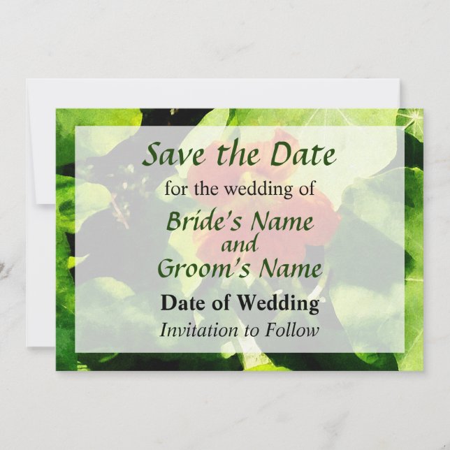 Ein Orange Nasturtium Save the Date (Vorderseite)
