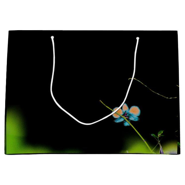 Ein Orchideen-Geschenktüte Große Geschenktüte (Vorderseite)