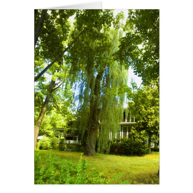 Ein Ort jenseits - Mysterium fast in der Sight Car (Vorne)