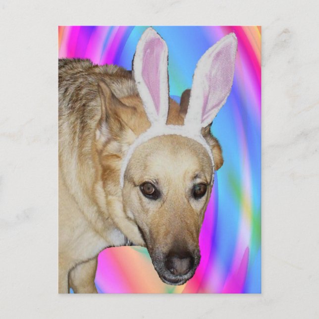 Ein Osterhase? Feiertagspostkarte (Vorderseite)