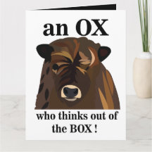 Ein OX, der aus der Box grüßt