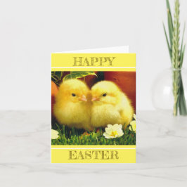 Ein Paar Baby Chicks im Frühling Karte