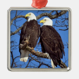 Ein Paar Bald-Adler Ornament Aus Metall
