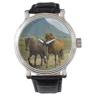 Ein Paar brauner isländischer Ponys Armbanduhr