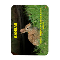 Ein paar Bunny in Kansas Lieben Sie Magnet.