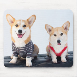 Ein Paar Corgis, die auf einer Bank sitzen Mousepad