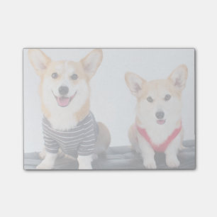 Ein Paar Corgis, die auf einer Bank sitzen Post-it Klebezettel