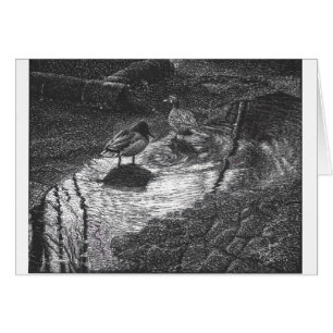 Ein Paar der Ente an einer Pfütze nach Regen