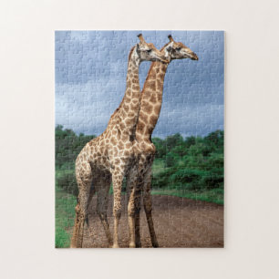 Ein Paar Giraffen auf der Straße, Krüger National Puzzle