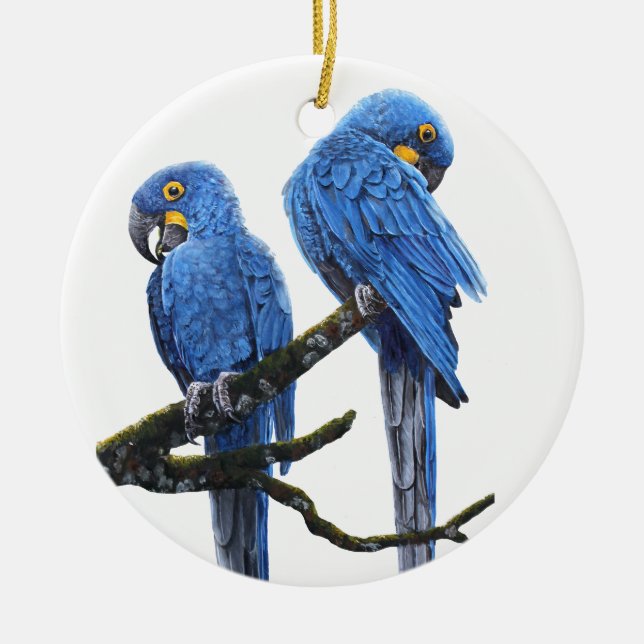 Ein Paar helle blaue HyazintheMacaws Keramikornament (Vorne)