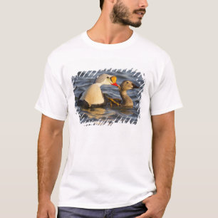 Ein Paar höfliche Königinnen in einem Tundra-Teich T-Shirt