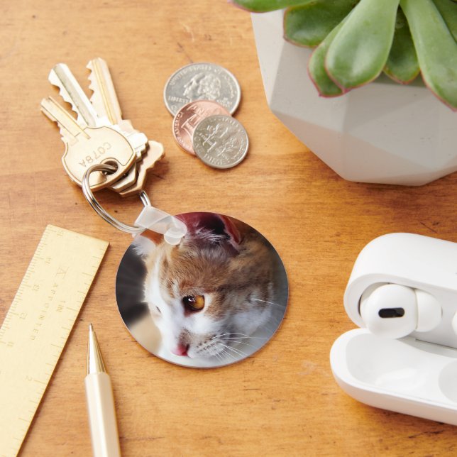 Ein paar Kätzchen Schlüsselanhänger (Schreibtisch)