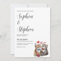 Ein paar Katzen bei Hochzeiten in der Liebe