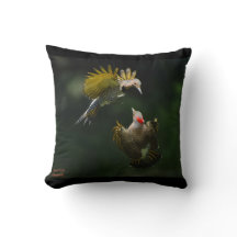 Ein Paar nördlicher Flicker