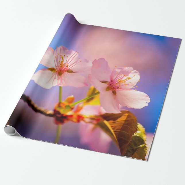 Ein paar Sakura-Blume Geschenkpapier (Ungerollt)
