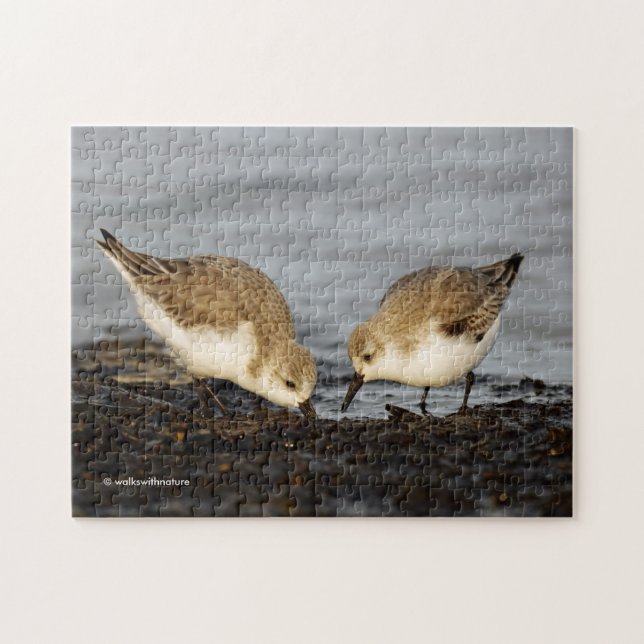 Ein Paar Sanderlings Shares Puzzle (Horizontal)
