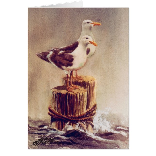 EIN PAAR SEAGULLS AUF PILINGS VON SHARON SHARPE (Vorne)