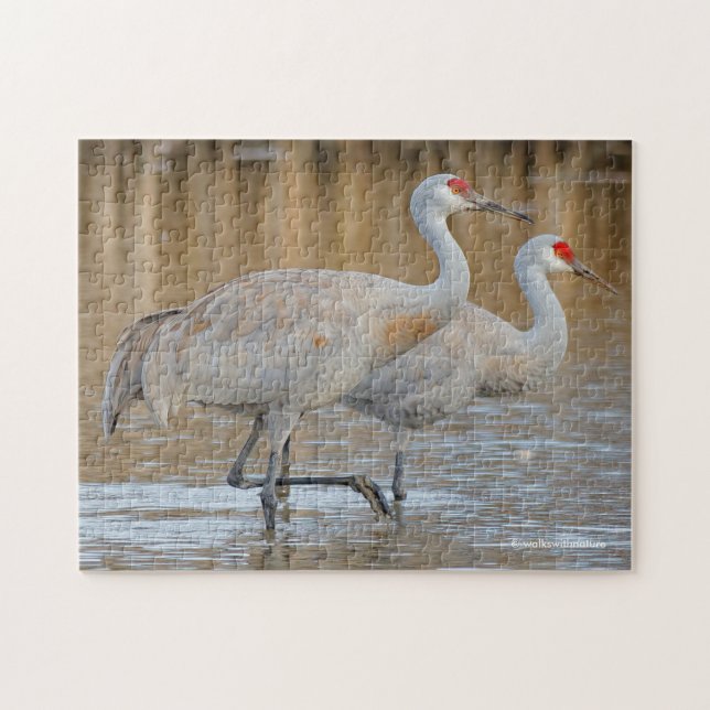Ein Paar Wading Greater Sandhill Cranes Puzzle (Horizontal)
