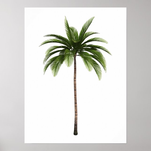 Ein Palm Tree Tropical Beach Island Art Simple Fun Poster (Vorne)
