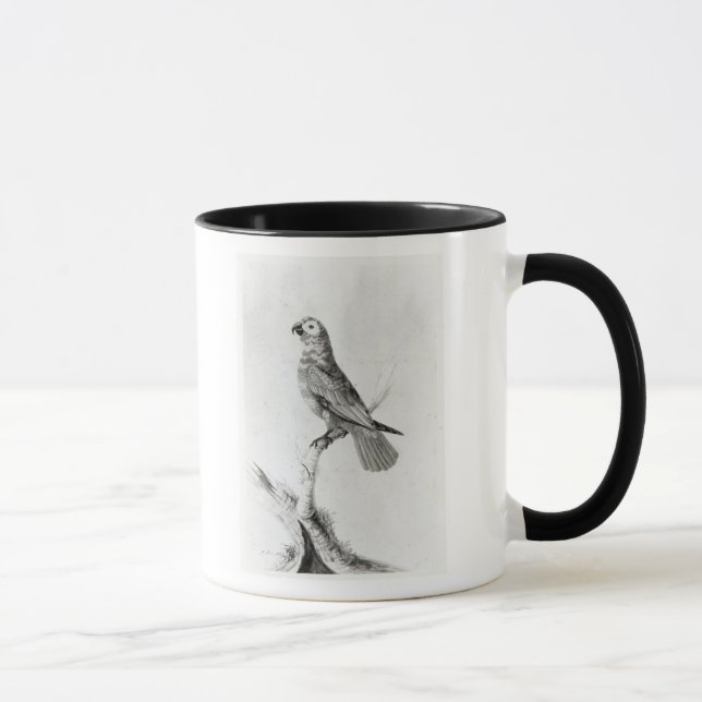 Ein Papagei, 1786 Tasse (Rechts)