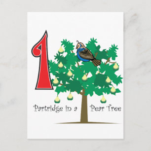 Ein Partridge in einem Birnenbaum Postkarte