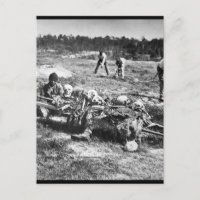 Ein Party im Schlachtfeld des kalten Hafens.