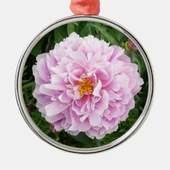 Ein Peony mit Raindrops Ornament Aus Metall (Vorne)