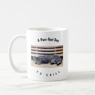 Ein perfekter Tag, um die Katze zu kühlen Kaffeetasse