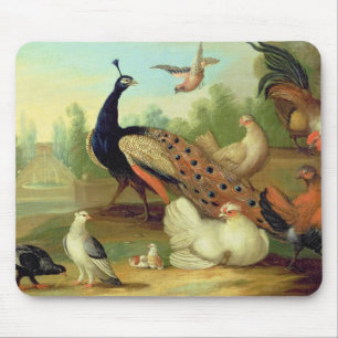 Ein Pfau, Tauben, Hühner und ein Jay in einem Par Mousepad