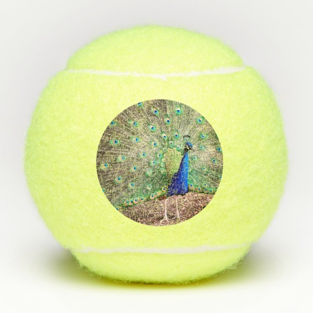 Ein Pfau Tennisbälle (Vorderseite)