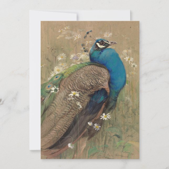 Ein Pfau und Marguerites | Edwin John Alexander (Vorderseite)