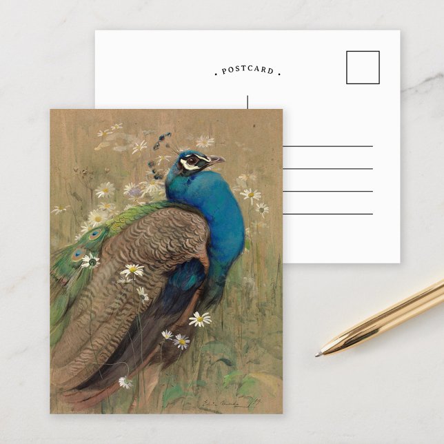 Ein Pfau und Marguerites | Edwin John Alexander Postkarte (Von Creator hochgeladen)