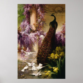 Ein Pfau und Tauben in einem Garten Print Poster