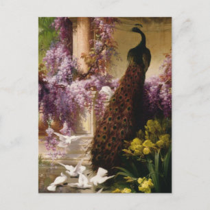 Ein Pfau und Tauben in einem Garten Print Postkarte