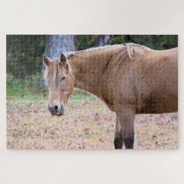 Ein Pferd ist ein Pferd - 20x30 Zoll Puzzle (Horizontal)