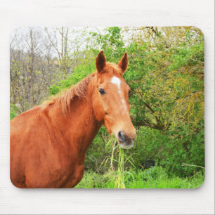 Ein Pferd namens Orion Mousepad
