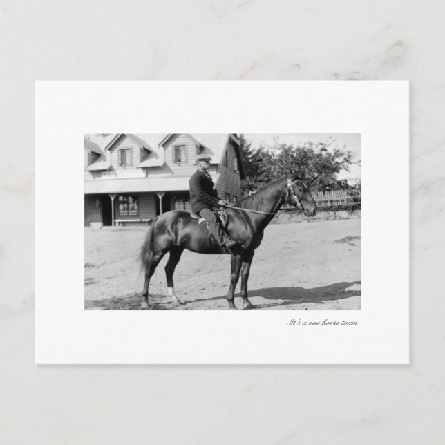 ein Pferd Postkarte (Vorderseite)