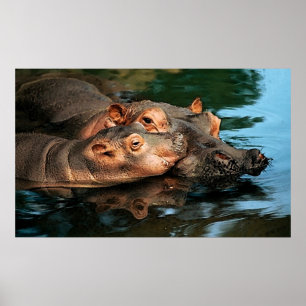 Ein Pflegeportrait einer Mutter mit Hippopotamus Poster