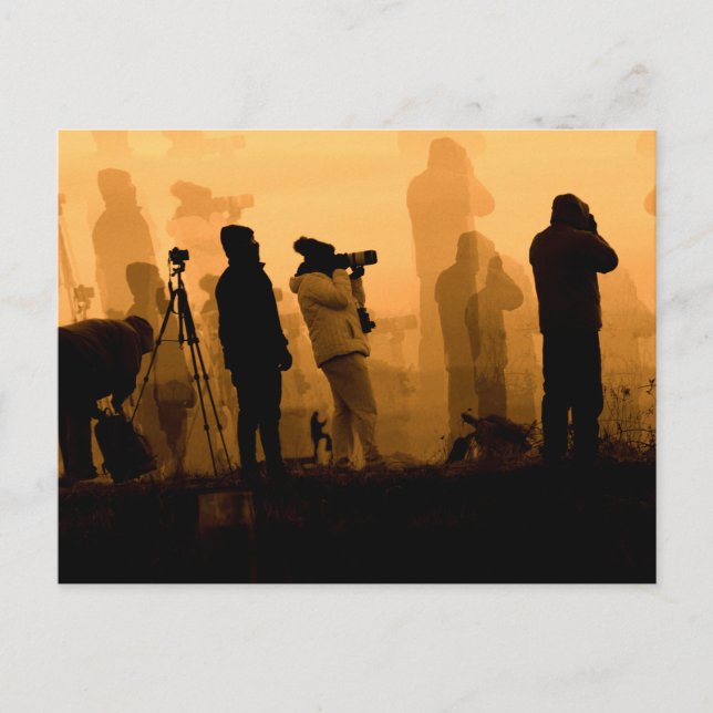 Ein Phantastischer Sonnenuntergang - Gänse bei Son Postkarte (Vorderseite)