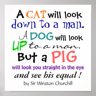 Ein PIG-Zitat von Sir Winston Churchill Poster