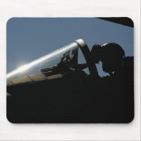 Ein Pilot bereitet den Start vor