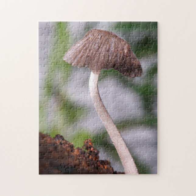 Ein Pilz Puzzle (Vertikal)
