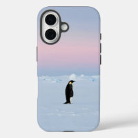 Ein Pinguin, der auf unberührtem Eis stehend ist