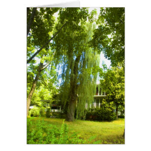 Ein Platz-jenseits - Geheimnis fast in der